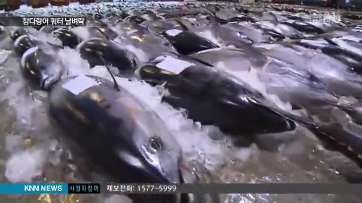 참다랑어 규제 쿼터 논란