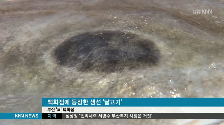 남북정상 밥상 오르는 달고기와 봉하쌀