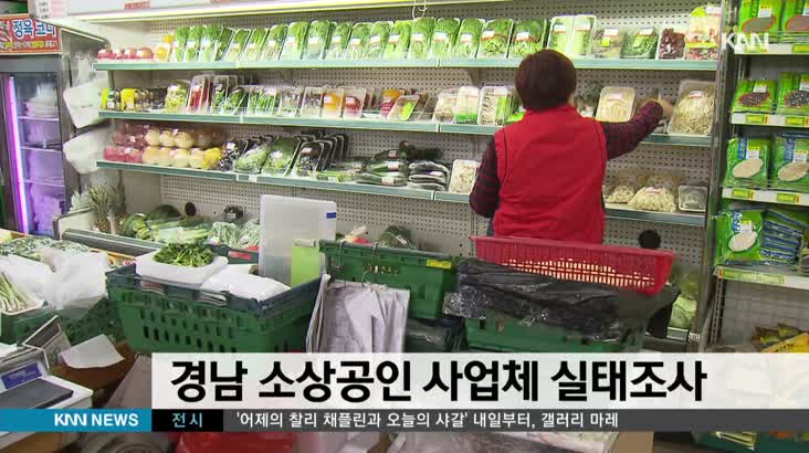 경남 소상공인 사업체 실태조사