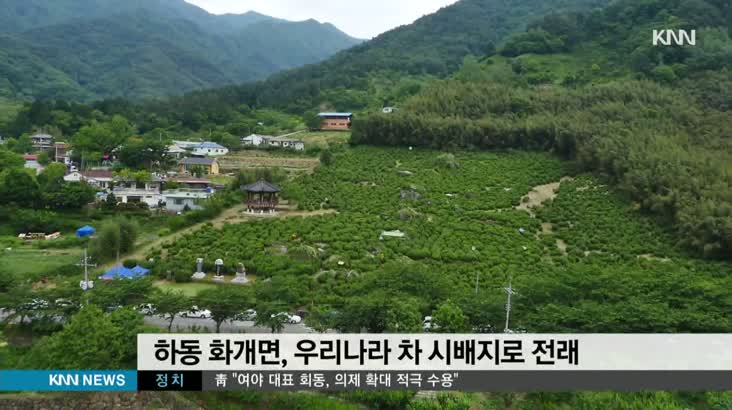 하동 녹차의 우수성을 알려라