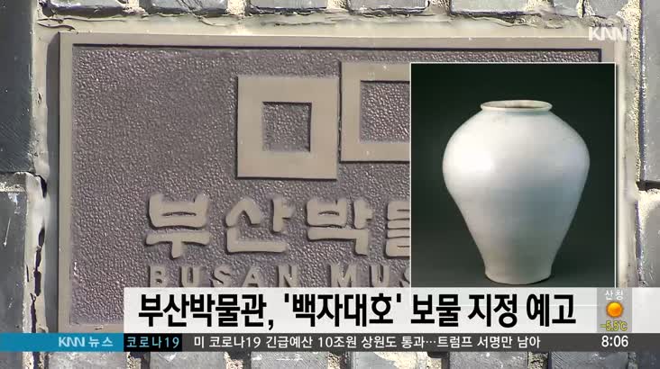 부산박물관 소장 대형 백자항아리 보물 지정 예고