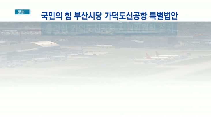 &apos;가덕신공항 특별법&apos;, 관문공항 포함