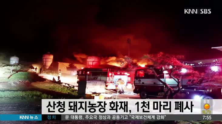 산청 돼지농장 화재, 돼지 1천마리 폐사