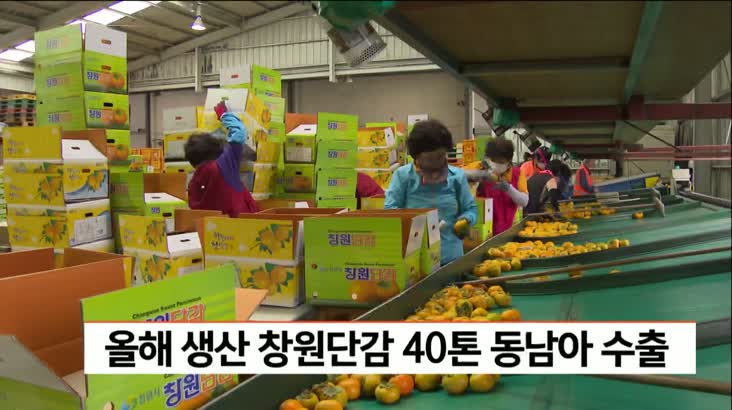 올해 생산 창원단감 40톤 동남아 수출