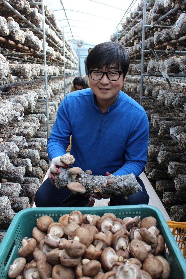표고버섯 성공 재배 팁