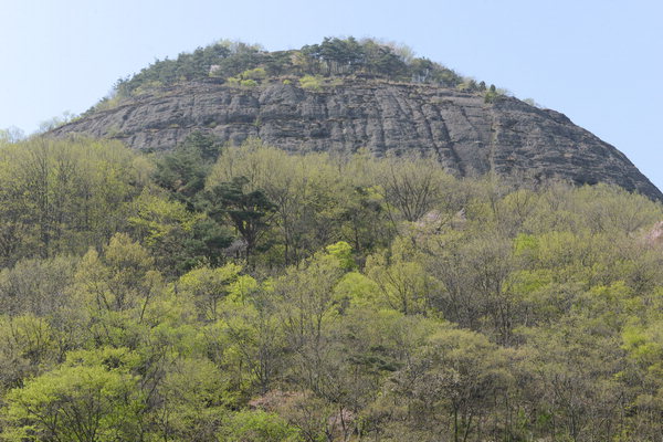 근교산&그너머 <971> 화순 옹성산