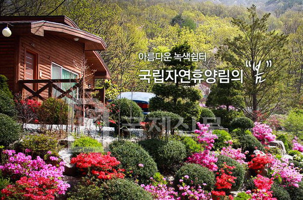 여름 성수기 국립자연휴양림 추첨제 예약 시작…신청 방법은?