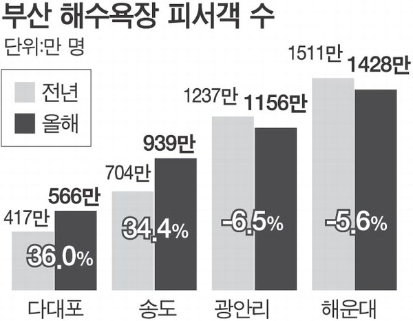 송도·다대포 힘입어 부산 해수욕장 선방