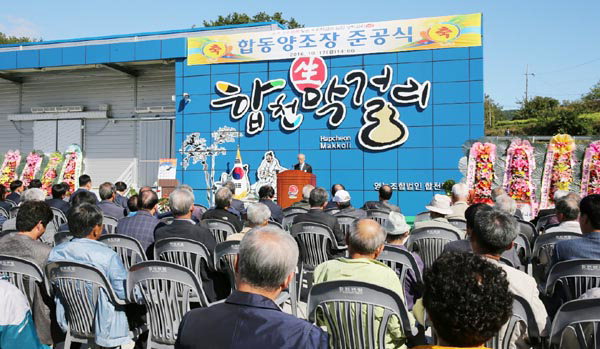 지역 쌀로 만든 합천 生 막걸리 출시