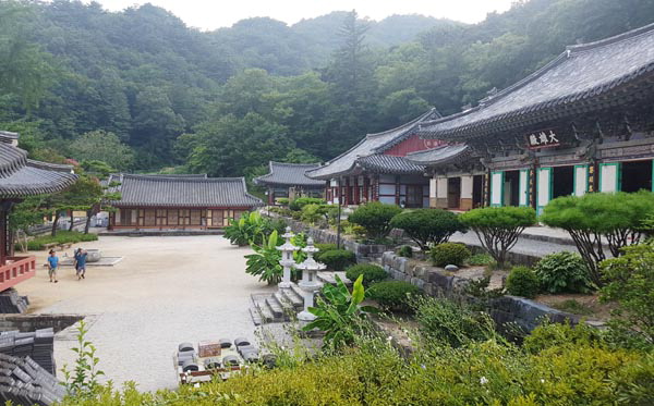 산사를 찾아서 <32> 산청 대원사