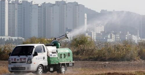 농식품부 제주서 AI 항원 검출…고병원성 여부 확인 중