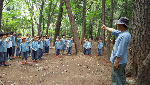 부산경남숲해설가협회 숲해설가 자격증 과정 모집