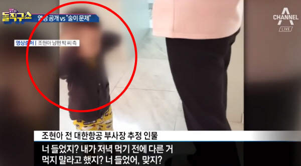 [조현아 동영상 말말말] “손으로 귀 막는 아이” “가정 안팎에서 갑질”