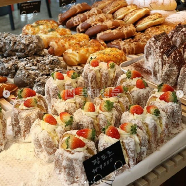 남양주 브리오슈 맛집 위치와 가격? 오로라 베이커리 카페, ‘mbc생방송오늘아침’ 등장