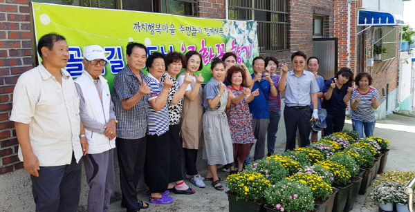 사하구 괴정2동 까치행복마을 골목길 가드닝 ‘국화꽃 향기’ 행사