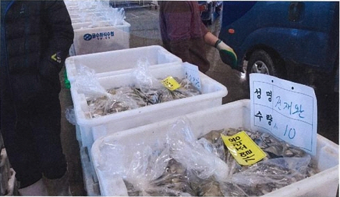 경남 진해만 노로바이러스 검출 “굴  익혀드세요”