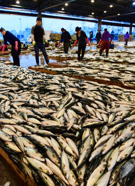부산시, 코로나19 장기화로 위축된 지역 수산업계 판로확대 지원