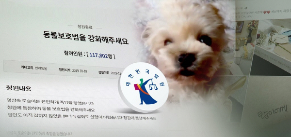 실종 반려견 ‘토순이’ 잔혹 살해한 20대 남성, 2심서도 징역 8개월