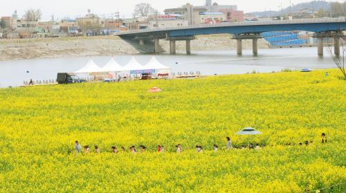 내일부터 나주 영산포 홍어축제