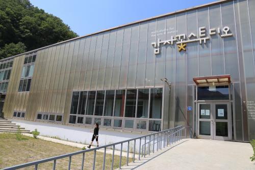 감자꽃 피는 강원도 문화 꽃 도 피었다