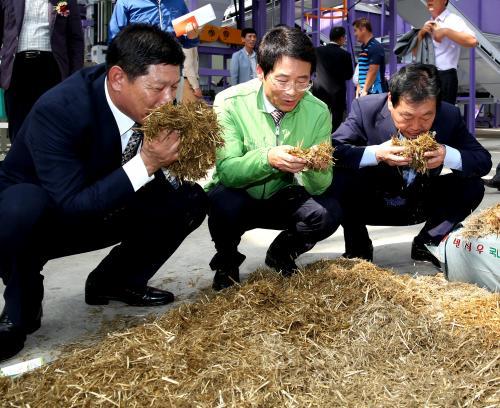 강진 한우 명품시대 활짝 … 축산농가 웃음꽃도 활짝