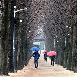 내일 날씨, 남부 봄비 소식… 주 후반 반짝 추위 강수량은 얼마?