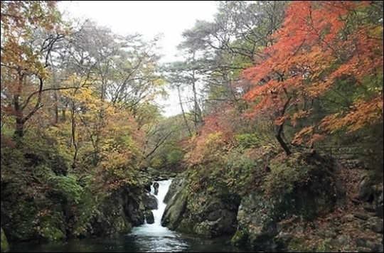 치악산 68km 둘레길 조성, 2020년까지 260억원 투입 볼만하겠네