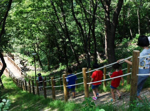 산림복지진흥원·현대차 정몽구 재단, 온드림 숲 속 힐링교실 제공