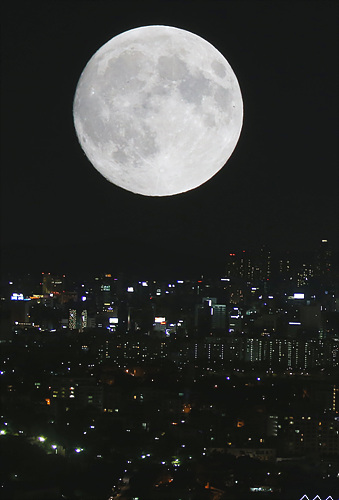 <일요시사 강추> 실속만점 추석 선물세트