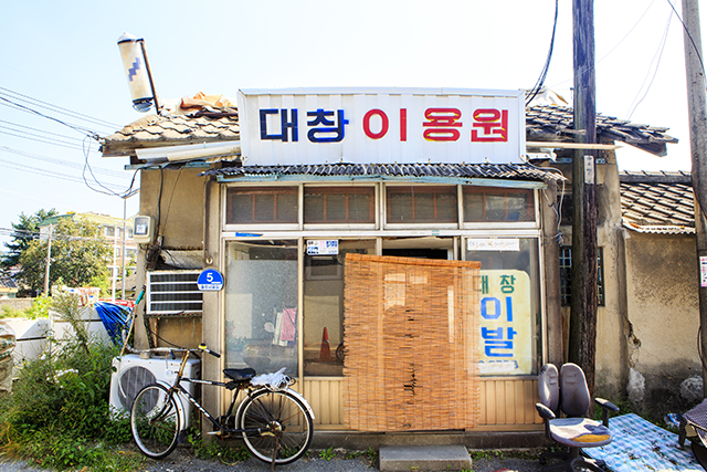 토박이 추천 명소 ②대전 대동하늘공원