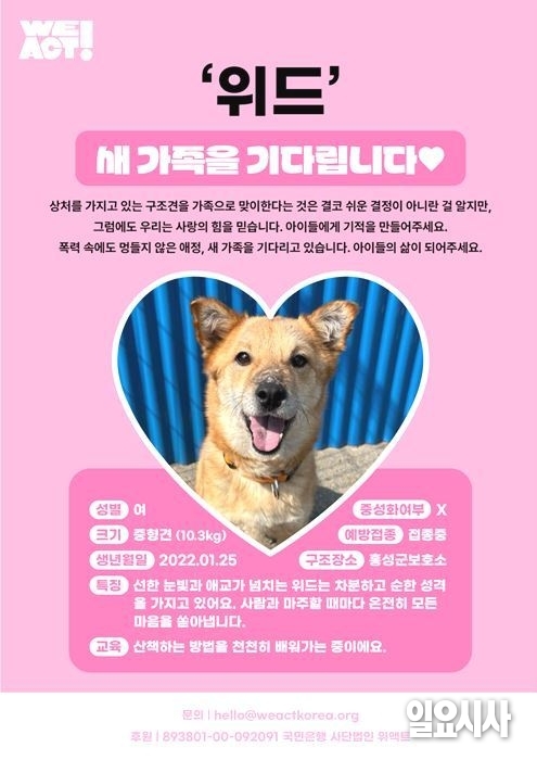 <위액트 공동기획> ‘위드’ 새 가족을 기다립니다