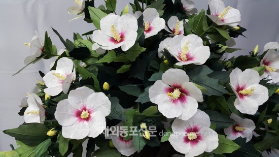 한지로 만드는 무궁화, 홍콩서 한지공예 워크숍