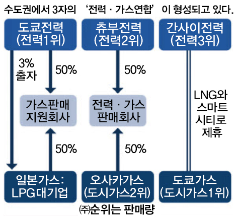 도쿄전력홀딩스, 일본가스에 출자