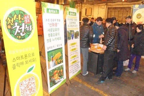 서귀포농협 천상천하 브랜드감귤 출하 시작…호평 쏟아져