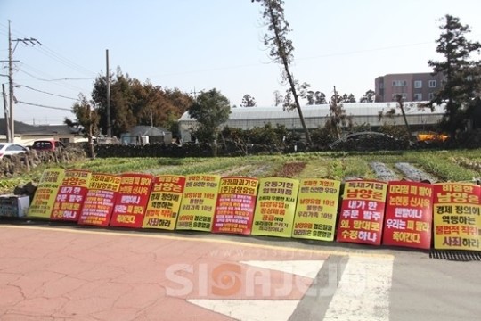 남양유업 대리점의 눈물 6년간 나아질 거란 믿음 무너져
