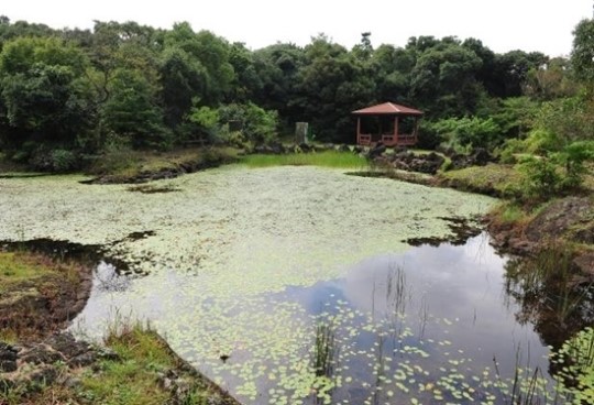 제주 동백동산 제1호 람사르 시범마을 지정 … 세계 최초