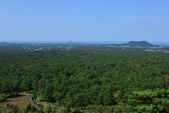 국립산림과학원, 곶자왈시험림 보유 면적 대폭 증가