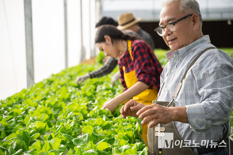 노년 인력 활용, 진지하게 활용하는 정책 필요