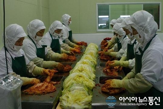 영암 왕인식품 김치 전문회사로 우뚝