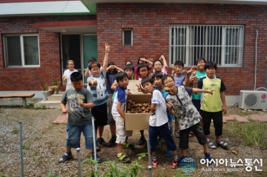 감자 수확하는 밀양 수산초