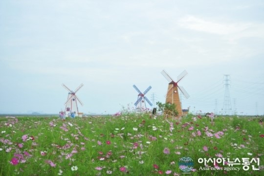 안산시, 대부바다향기테마파크 자연친화형 공간으로 개장