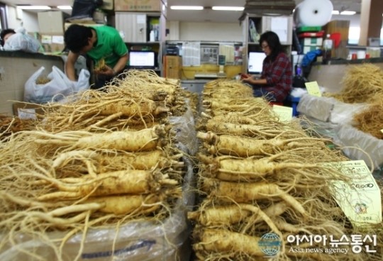 관광객 기다리는 금산인삼