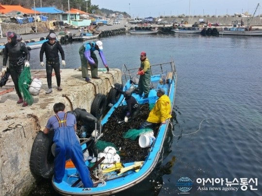 울진, 자연산 미역채취를 마치고 뭍으로 오르는 해녀들