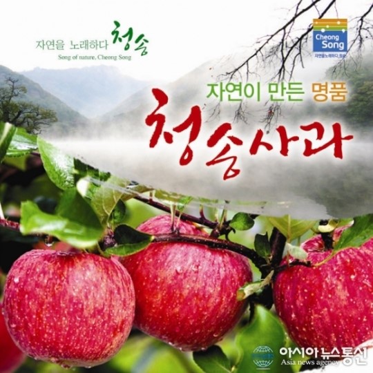 청송군 청송사과, 2013 대한민국대표브랜드 대상 수상