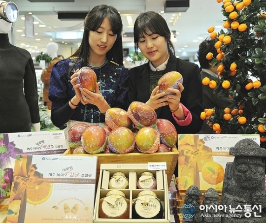 롯데百 대구점, 청정 제주 특산물 초대전 진행