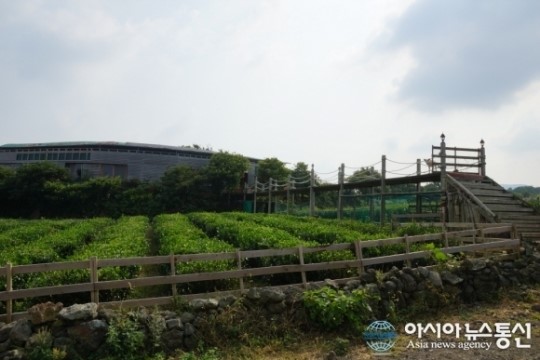 “제주, 슬로푸드 전국 최고”