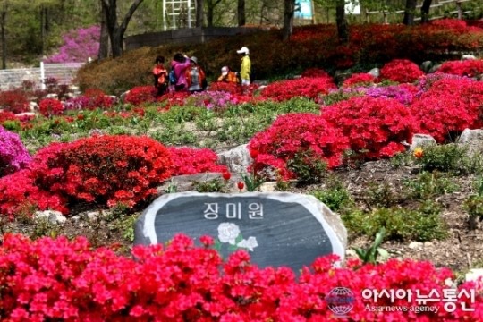 근로자의 날 대아리 수목원 풍경
