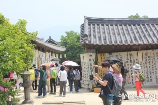 하동을 향한 서울 주부들의 특별한 힐링여행
