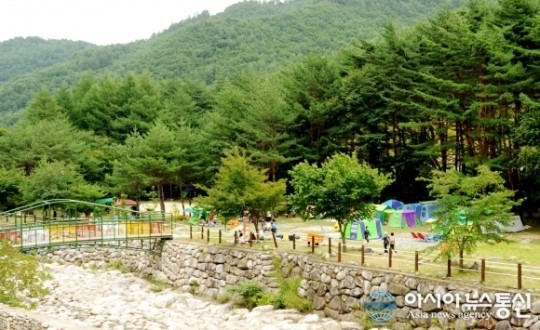 태백산도립공원야영장