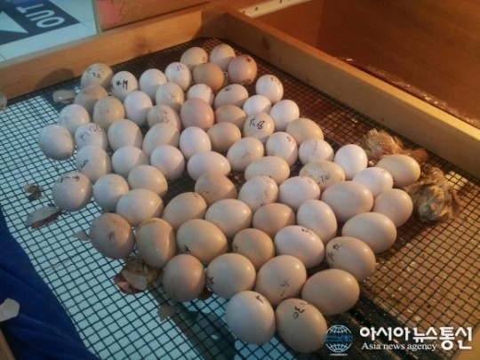 이색휴게소, 정읍녹두장군휴게소(상)